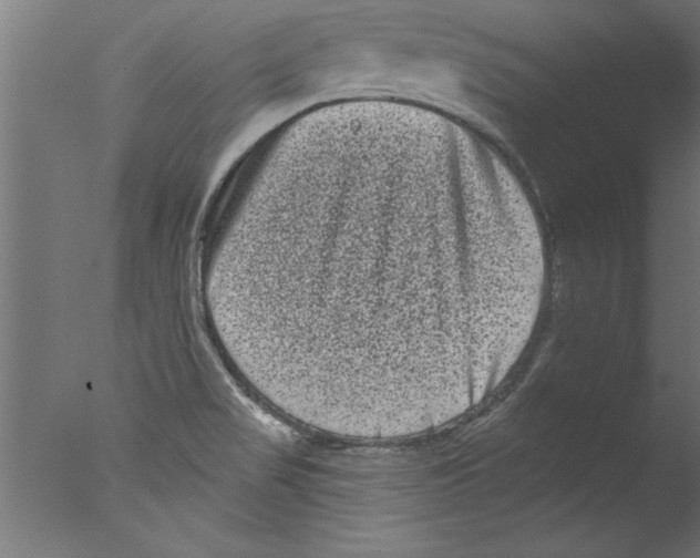 X0000076101517200610202122