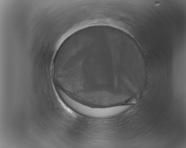 X0000076101519200610202122