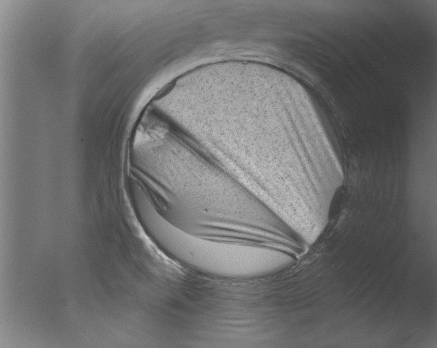 X0000076101520200610202122