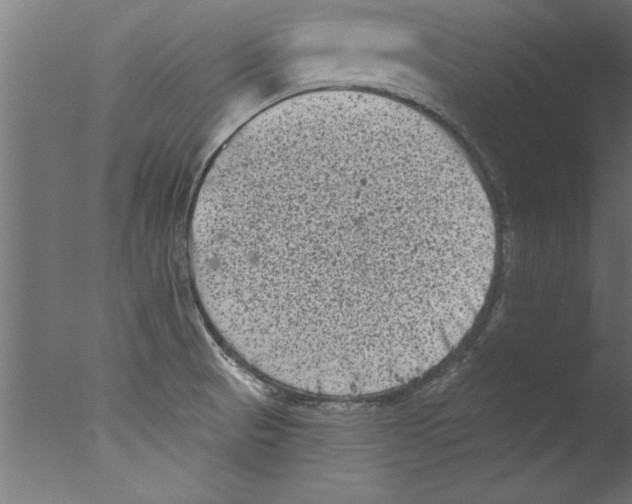 X0000076101521200610202122