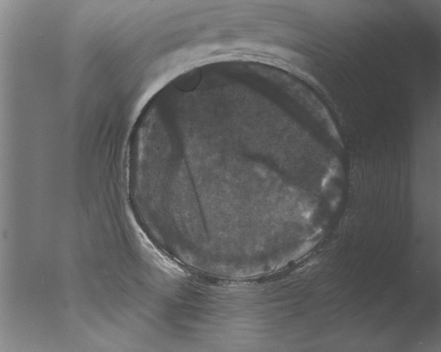 X0000076101522200610202122