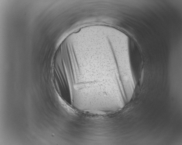 X0000076101524200610202122