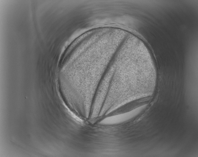 X0000076101525200610202122