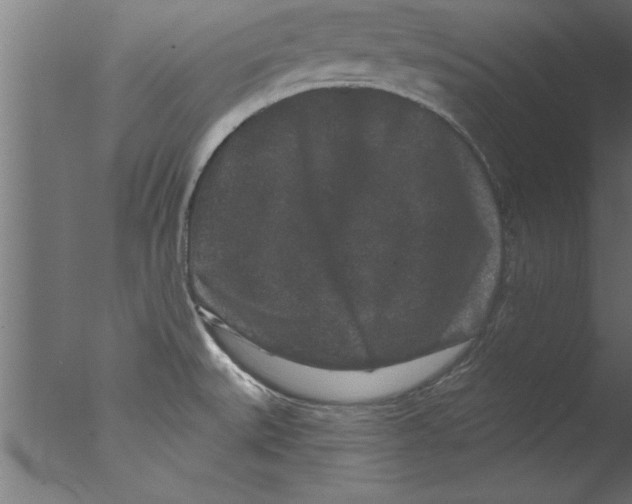 X0000076101527200610202122