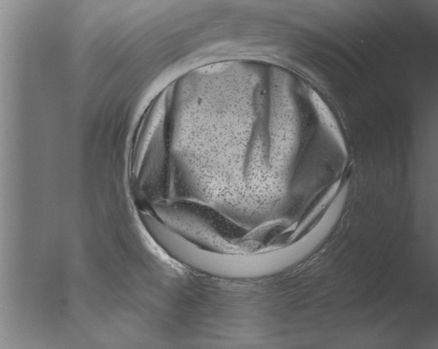 X0000076101528200610202122