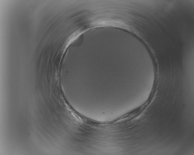 X0000076101529200610202122