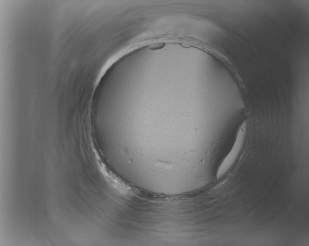 X0000076101530200610202122