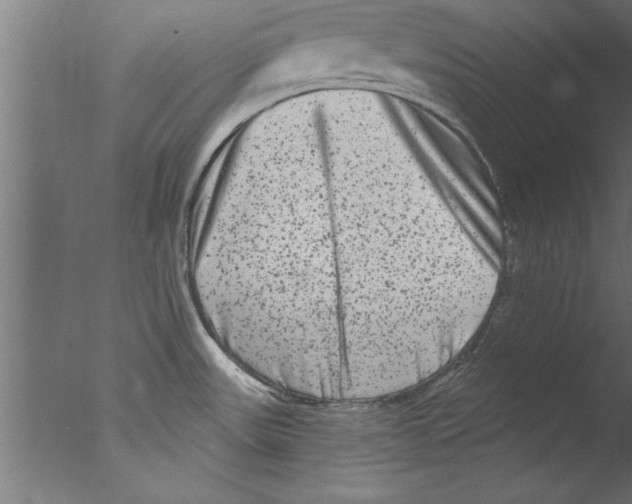 X0000076101531200610202122