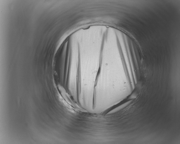 X0000076101532200610202122