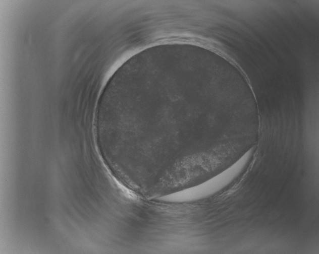 X0000076101533200610202122