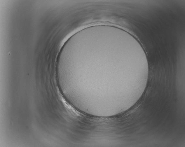 X0000076101534200610202122