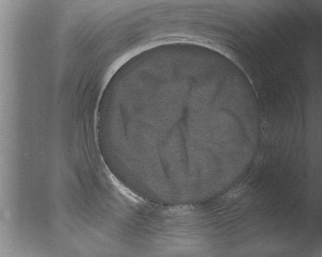 X0000076101535200610202122