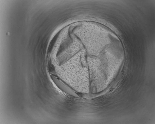 X0000076101536200610202122