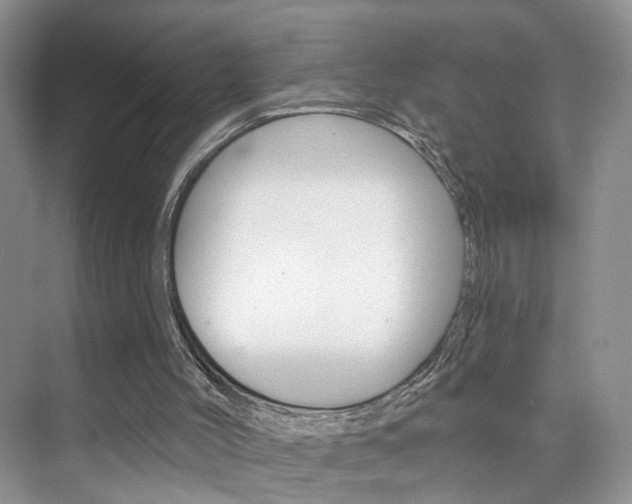 X0000076220004200609280933