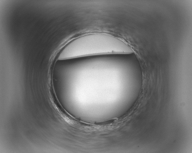 X0000076220005200609280933