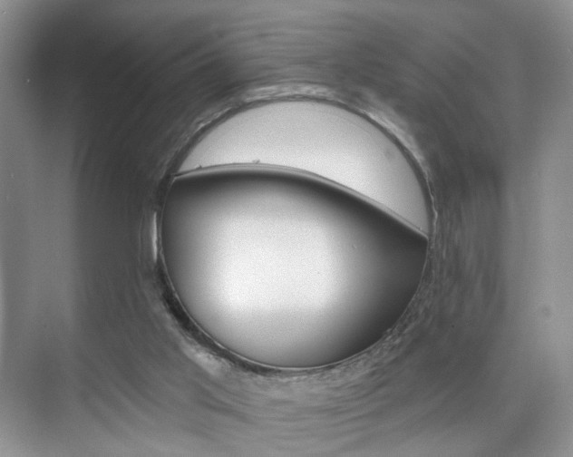 X0000076220013200609280933