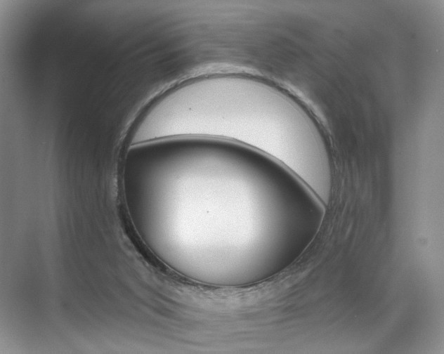 X0000076220015200609280933
