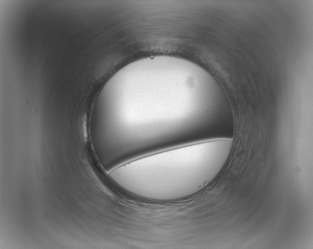 X0000076220020200609280933