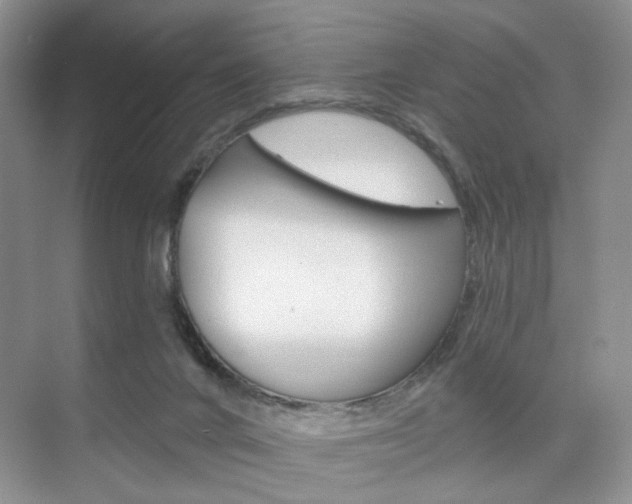 X0000076220024200609280933