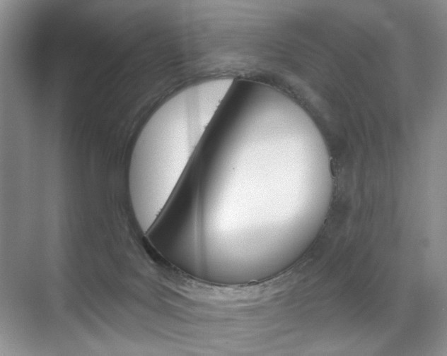X0000076220027200609280933