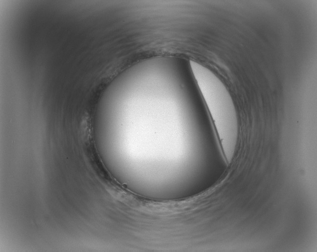 X0000076220029200609280933