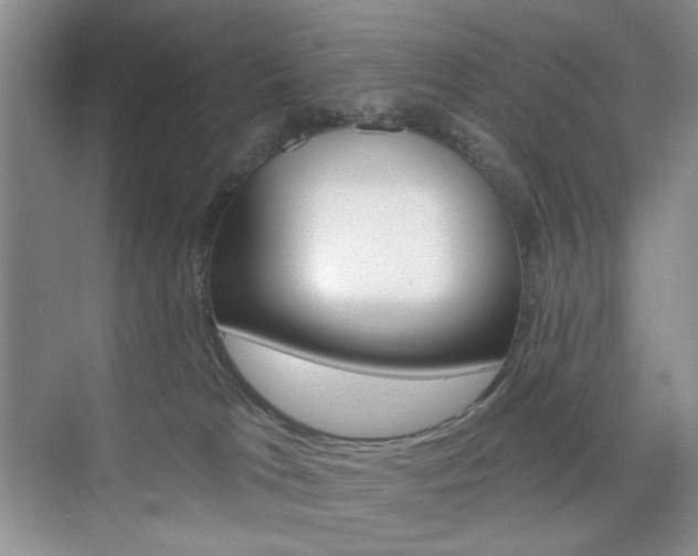 X0000076220037200609280933