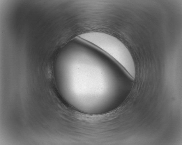 X0000076220039200609280933