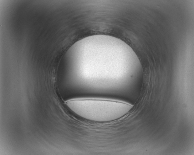 X0000076220040200609280933
