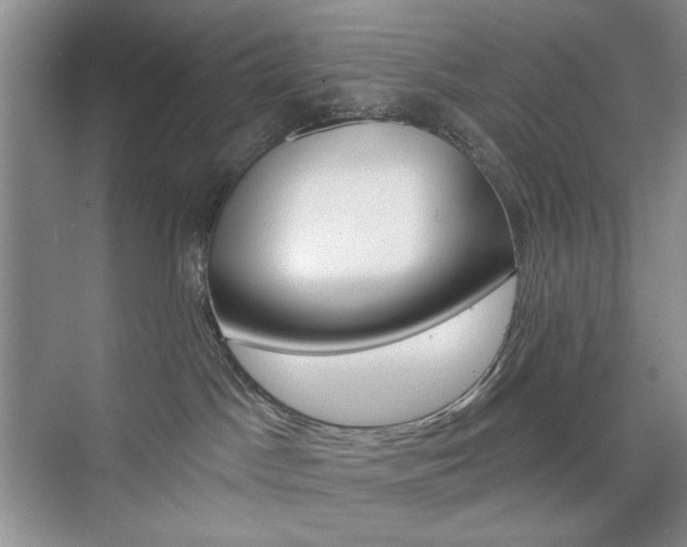X0000076220045200609280933