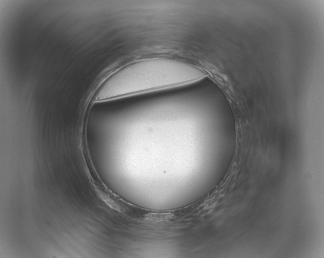 X0000076220051200609280932