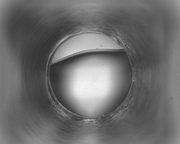 X0000076220052200609280932
