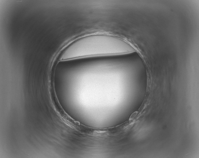 X0000076220055200609280932