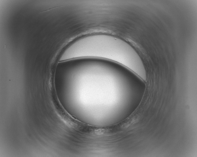 X0000076220064200609280932