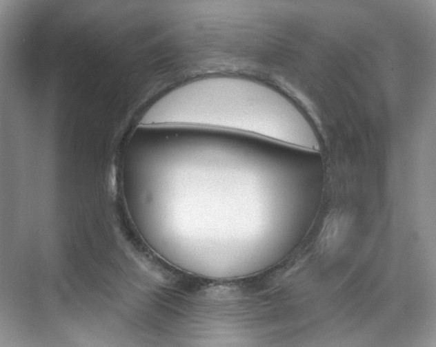 X0000076220067200609280932