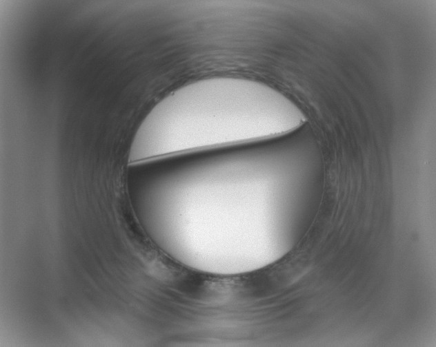 X0000076220079200609280932