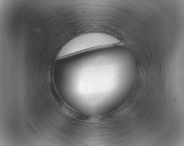 X0000076220080200609280932