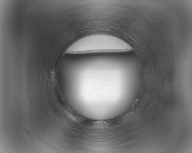 X0000076220087200609280932