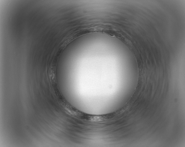 X0000076220091200609280932