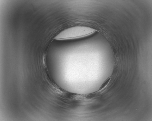 X0000076220094200609280933