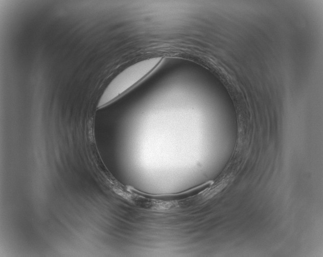 X0000076220096200609280933