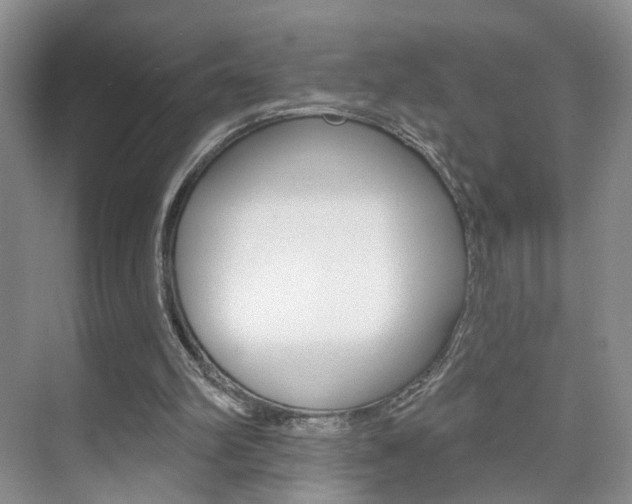X0000076220102200609280932