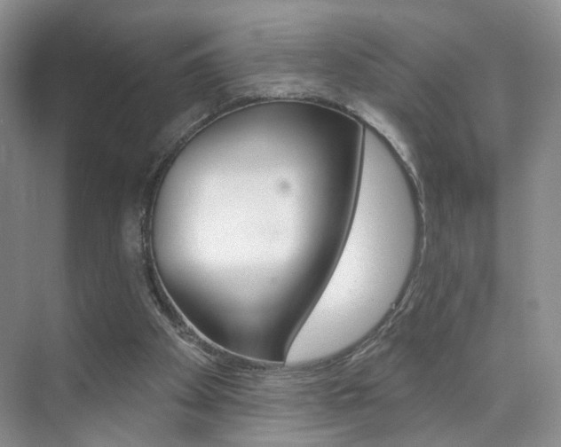 X0000076220105200609280932