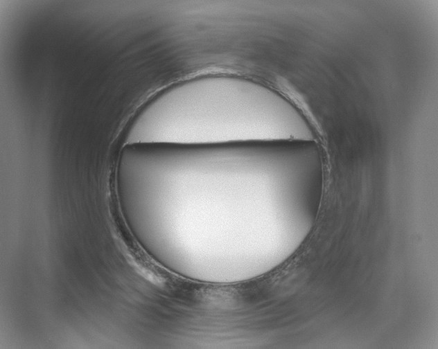 X0000076220106200609280932