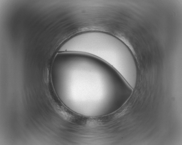 X0000076220109200609280932