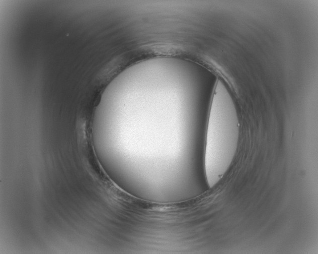 X0000076220117200609280931
