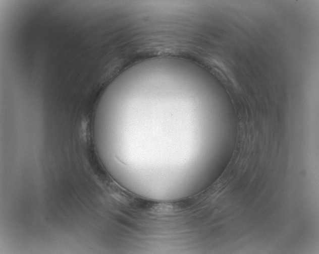 X0000076220123200609280931