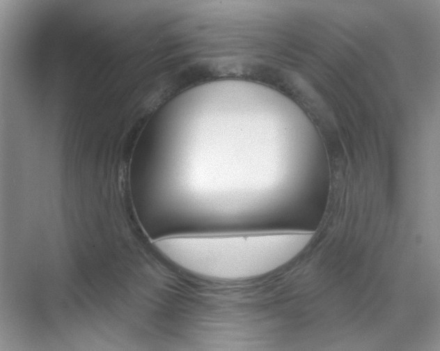 X0000076220125200609280931