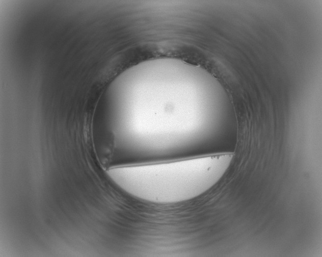 X0000076220129200609280931