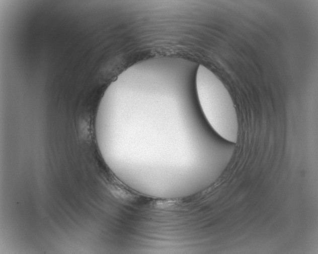 X0000076220134200609280931