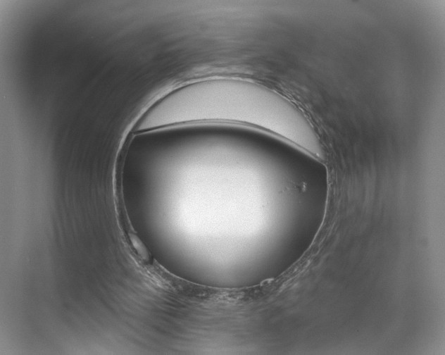 X0000076220148200609280930
